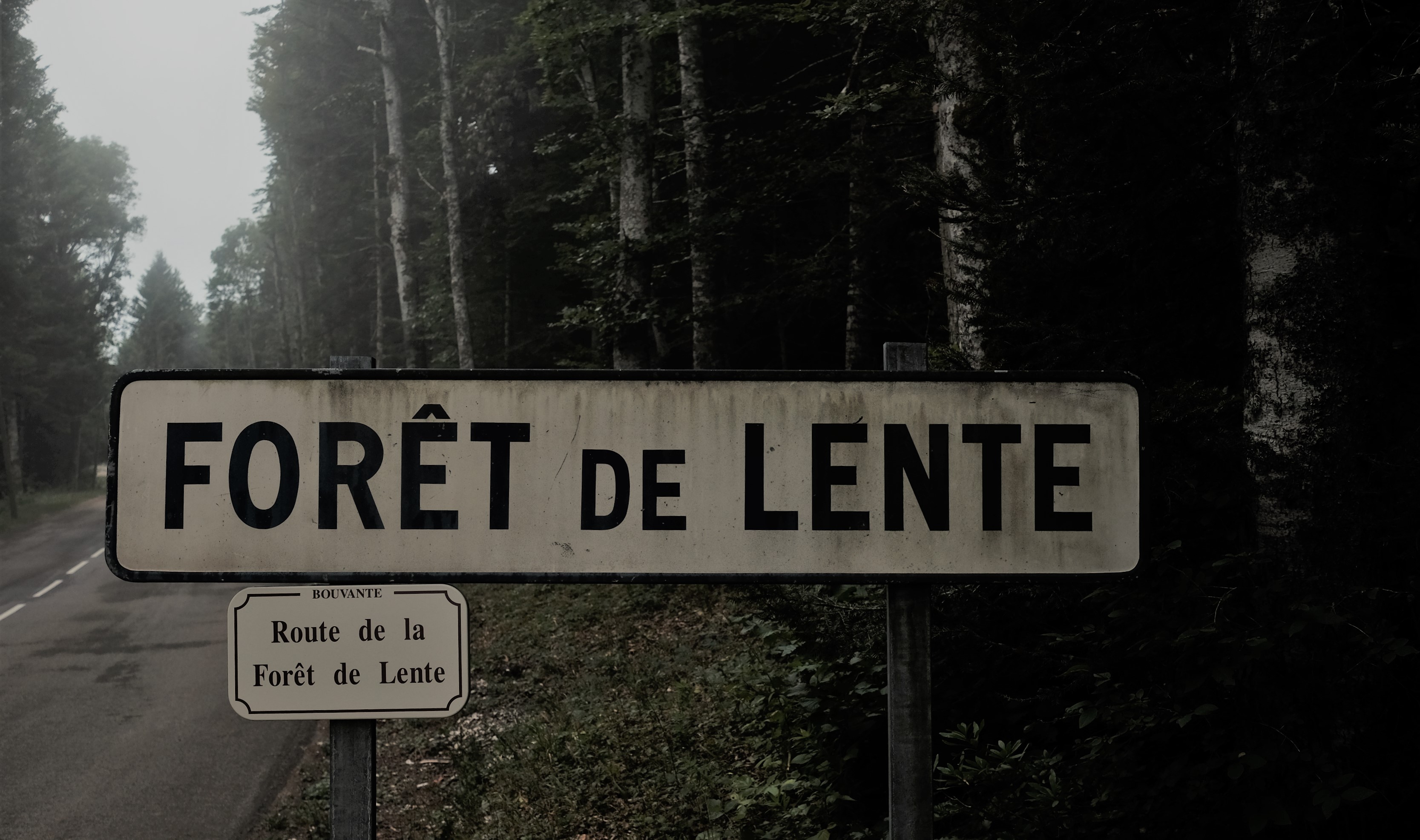 Forêt de Lente et Vercors (1900/1904)
